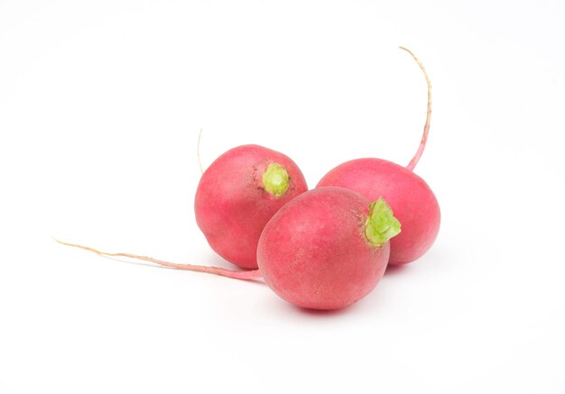 Small garden radish isolated on white background