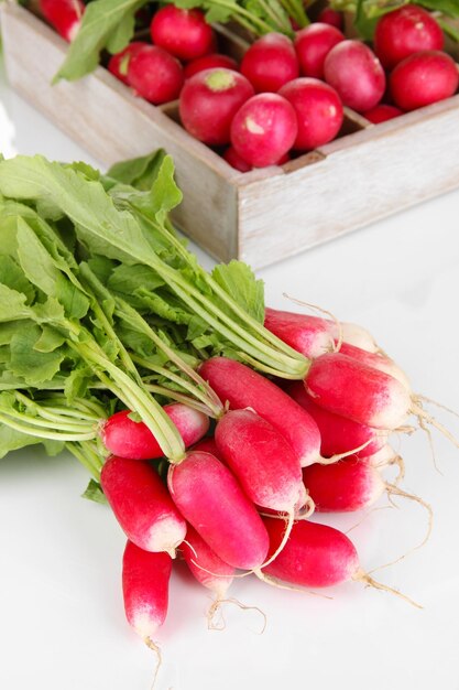 Small garden radish with leaves close up