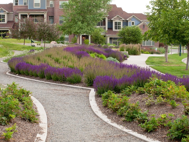 Small garden in Stapleton neighborhood, Colorado.