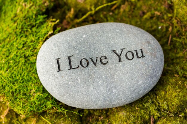 Small garden stones engraved with signs.