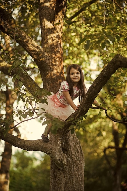 Small girl climb tree in summer garden, activity