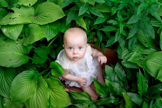 a small girl sits in the green grass in a beautiful white dress and looks up