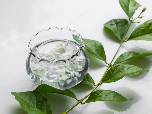 A small glass bowl with white flowers on a branch next to a green branch.