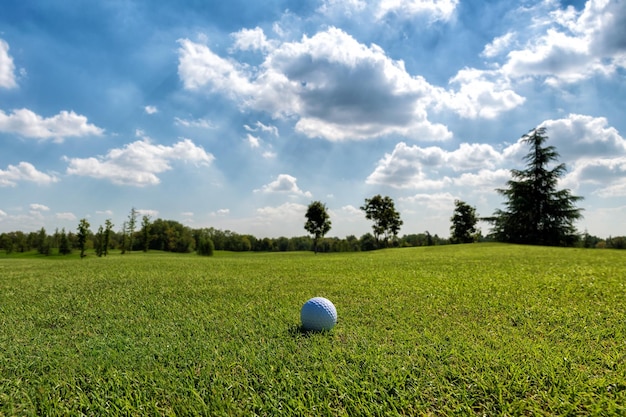 Piccola pallina da golf sul corso soleggiato verde