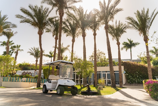 Small golf car is parked on an hotel road by some palm trees