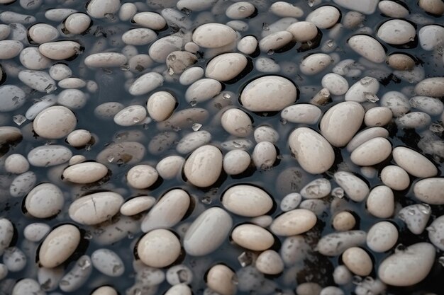 Photo small gray stones in the water