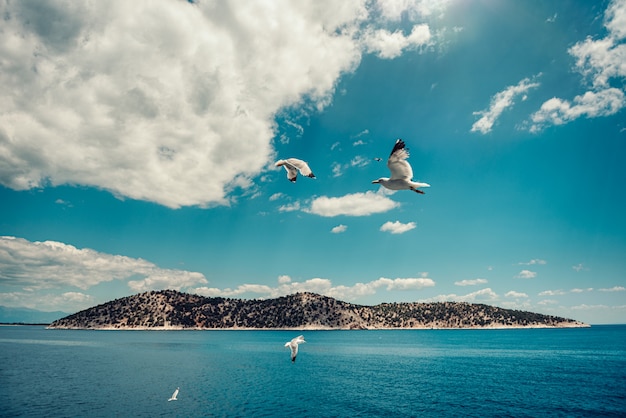 Small Greek island with seagulls flying in the sky