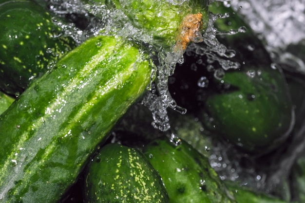 小さな緑のキュウリは、きれいな水のクローズアップマクロ写真の流れの下で洗われます