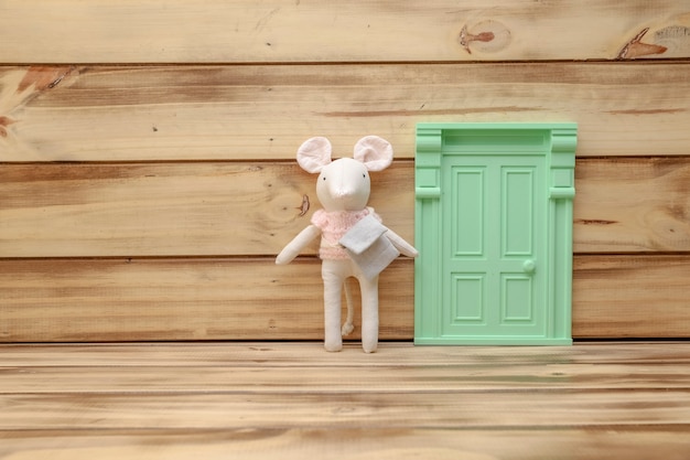 Small green door on a wooden wall