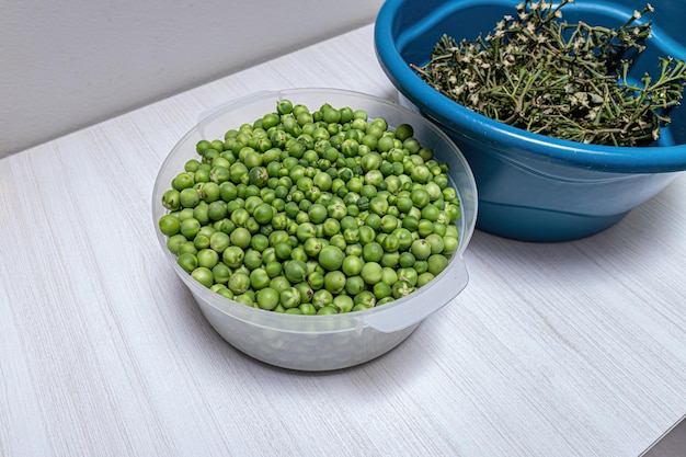 Small green jurubeba fruits