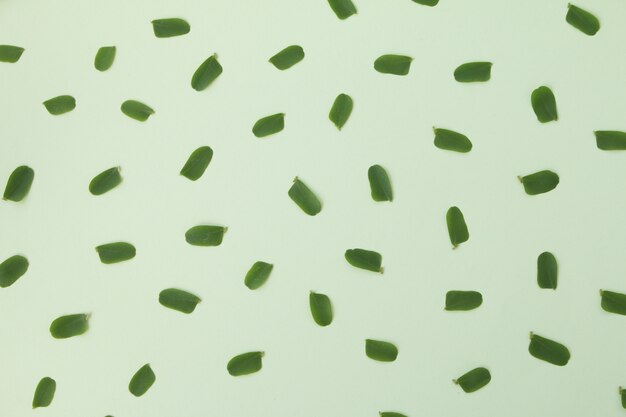 Small green leaves pattern on green background