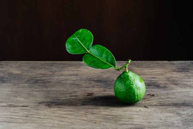 小さな緑の植物
