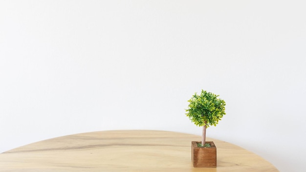Макет маленького зеленого дерева на деревянном столе