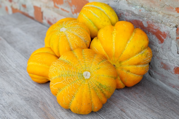 Small homemade yellow melons of the ethiopka variety harvesting melons