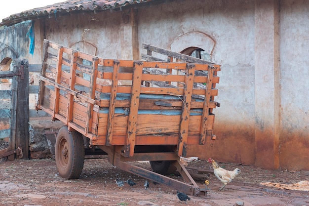 Photo small horse cart isolated on farm