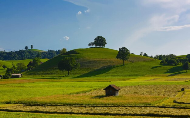 Photo a small house sits in a field with a tree on the top