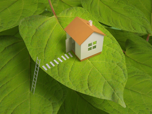 Small house on a tree.