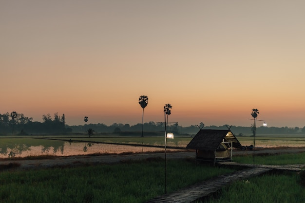 Small hut on the rice field with sunrise in concept of peaceful.