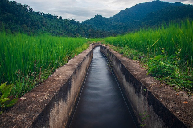 Piccola irrigazione nel villaggio di lamsujen aceh besar