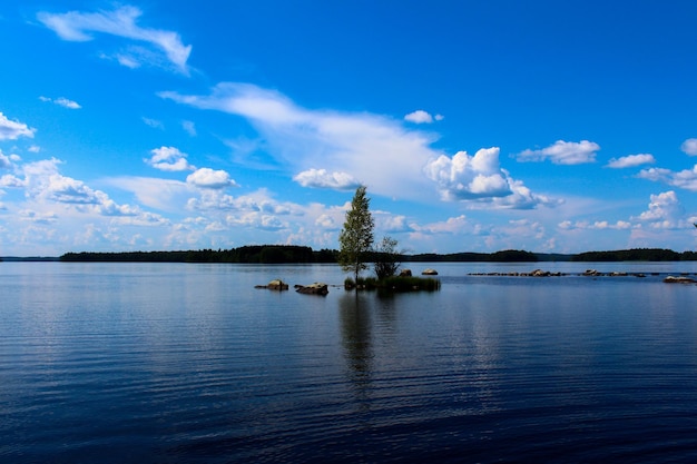 A small island in the middle of a lake