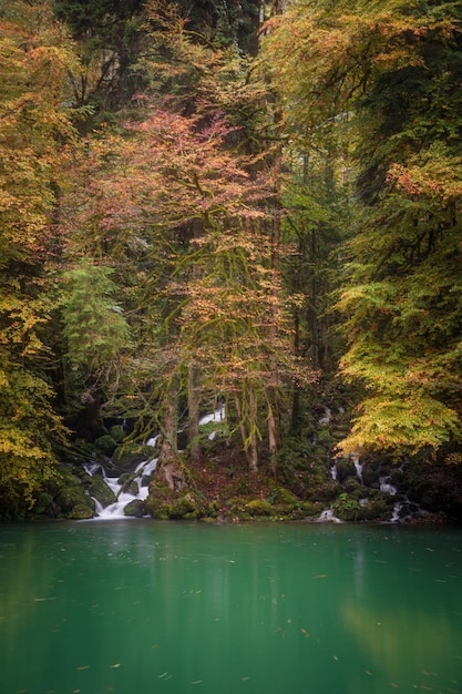 A small lake at a forest in autumn