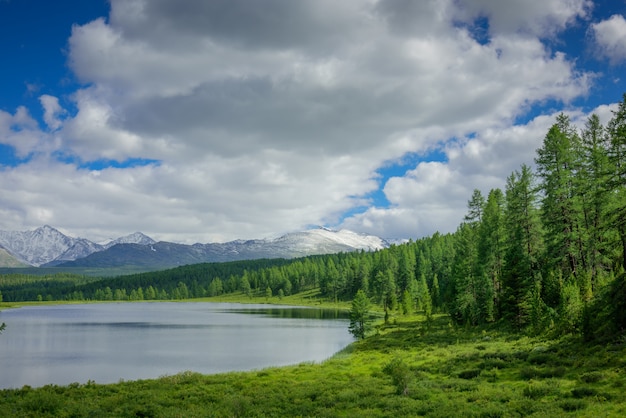 Small lake on grass and fluffy clouds over green meadows and snowy peaks