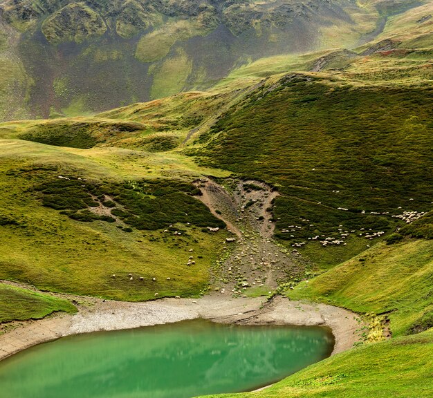 Small lake in the mountains