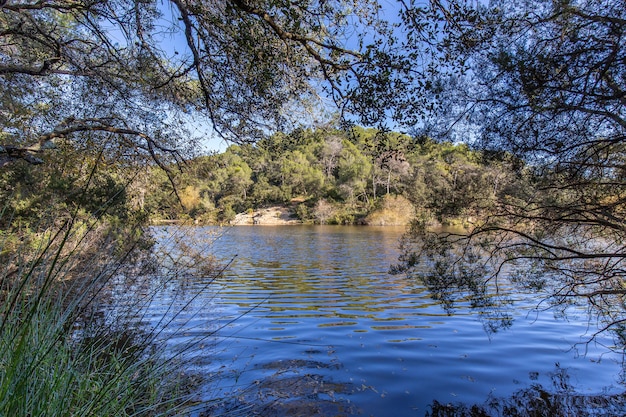 Small Lake in Terrassa, Barcelona