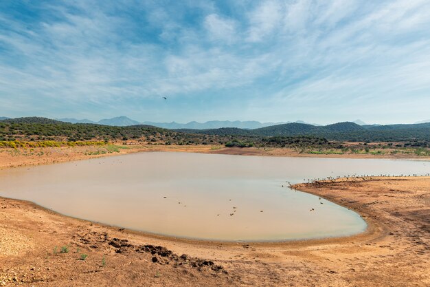 Small lake view in game reserve in South Africa