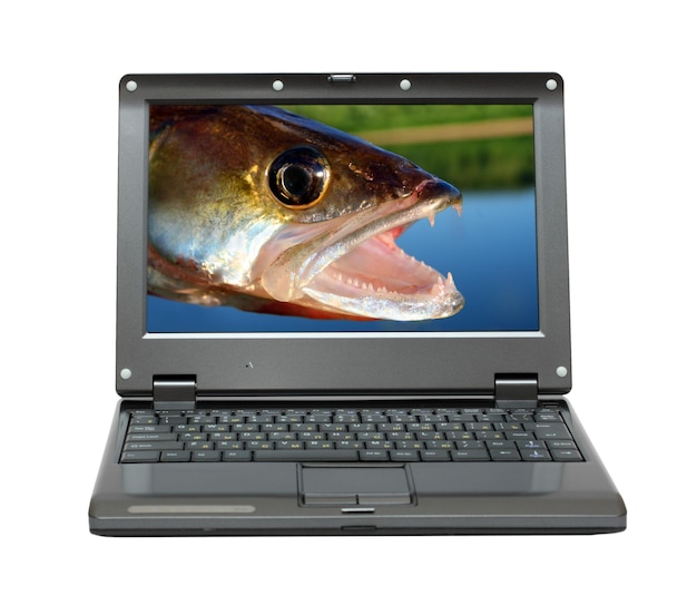 Small laptop