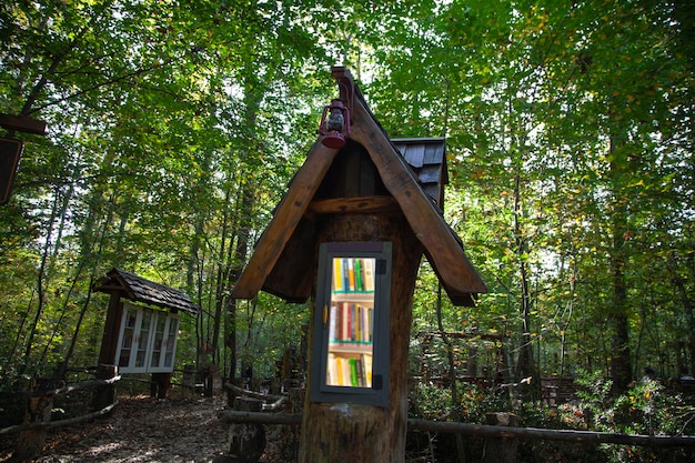 small library with lighted glass partition in green trees, forest. nature friendly library. night li