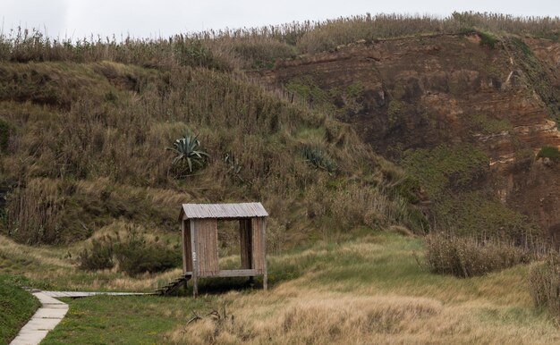 Photo small little bamboo house