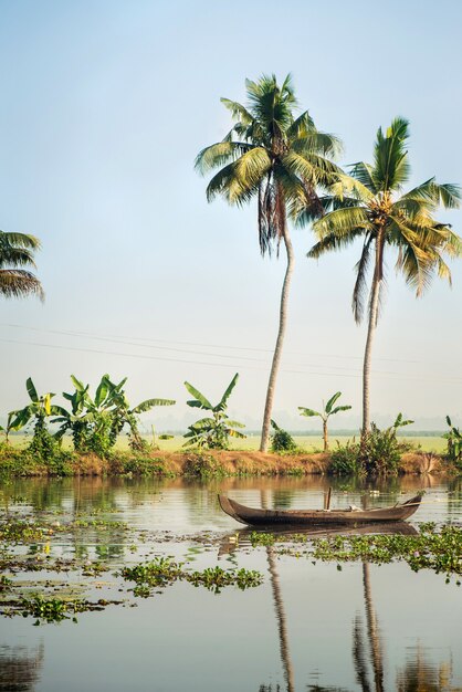 Piccola barca da pesca locale sul bellissimo paesaggio di backwaters di alleppey con palme