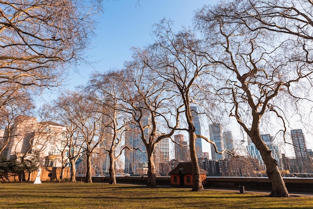 Small london park at sunset