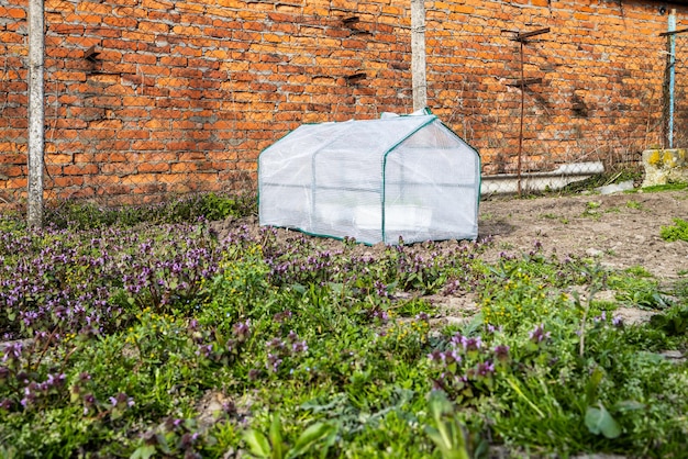 Small mobile film covered greenhouse in garden