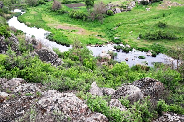 Small mountain creek