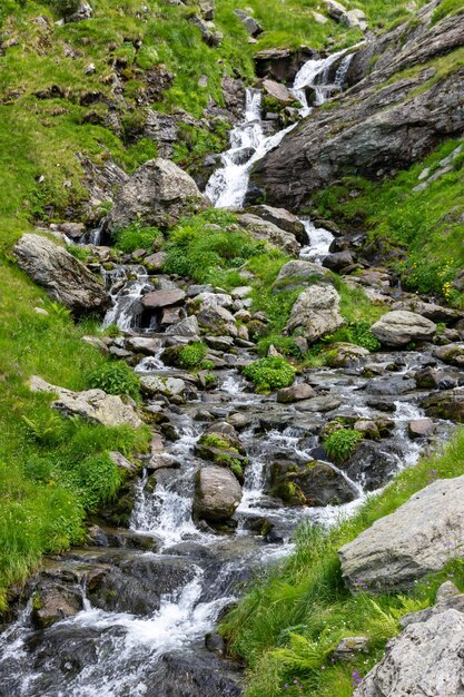 A small mountain river flows between the rocks