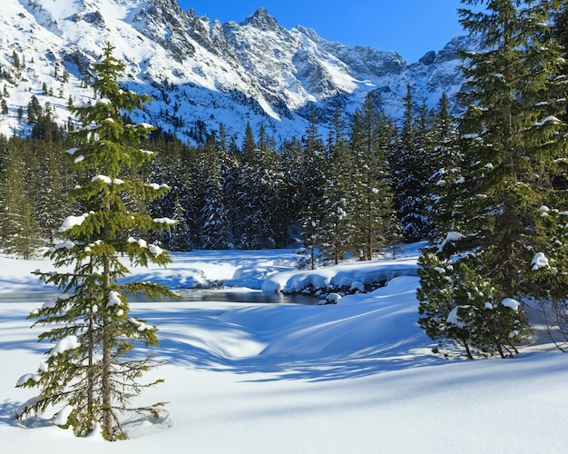 Small mountain stream and fir forest on winter snowy rocky slope.