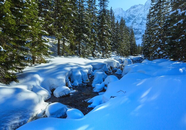 Small mountain stream with snow drifts and fir forest at the edges