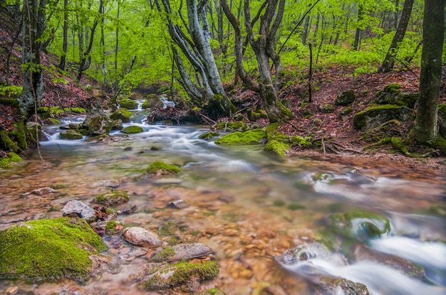 Small mountain waterfall flows over mossy stones and covered with fog