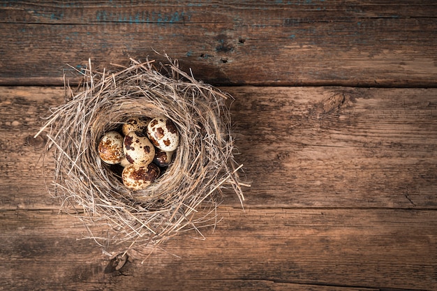 Photo a small nest of dry grass with quail eggs inside on a wooden background. top view with copy space.