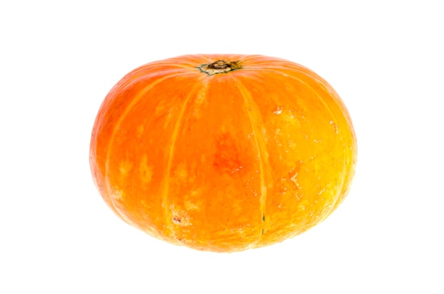 Small orange pumpkin isolated on white background.