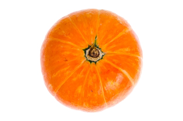 Small orange pumpkin isolated on white background.