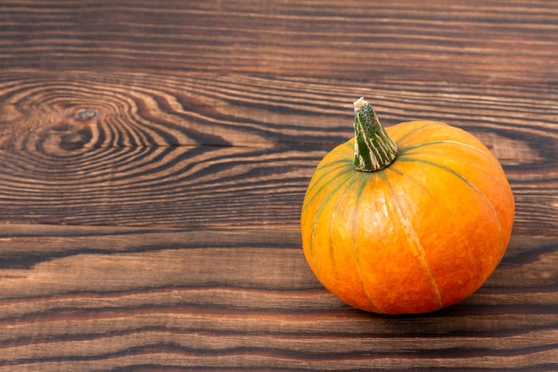 Small orange pumpkin for Thanksgiving day