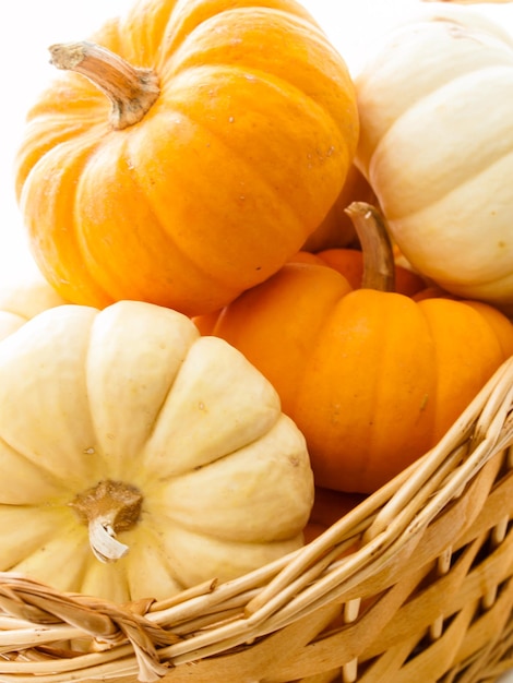 Small orange and white pumpkins in basket on white background.