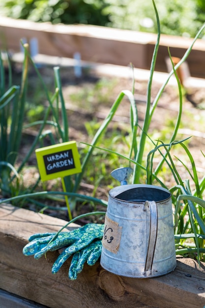 Small organic vegetable garden in urban area.