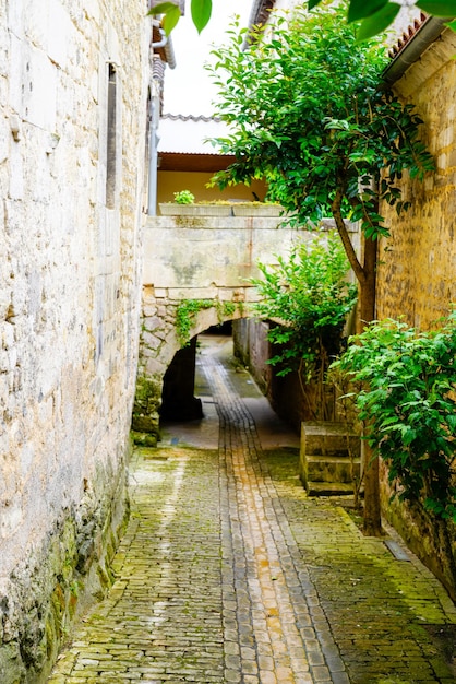 Небольшой проход под средневековым городом Жонзак в приморской шаранте на юго-западе Франции.