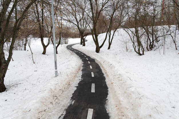 A small path near the trees and snow