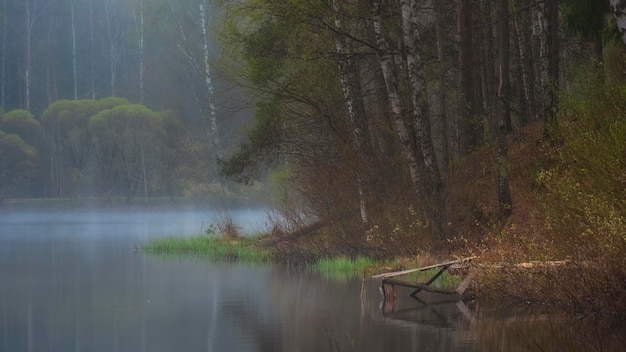 A small pier on a foggy mystical lake at dawn in the summer in the forest