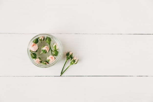 Small pink roses with buds.Minimalist composition,simple white background.Copy space.Flat lay